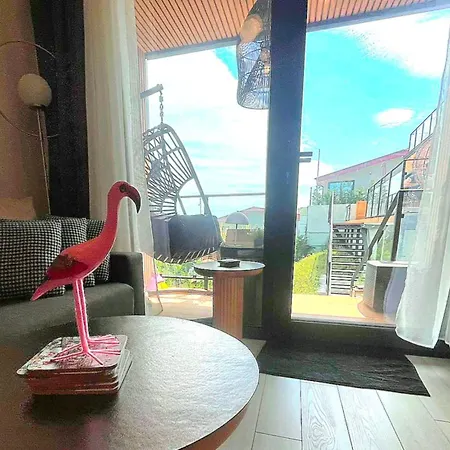 House Flamingo